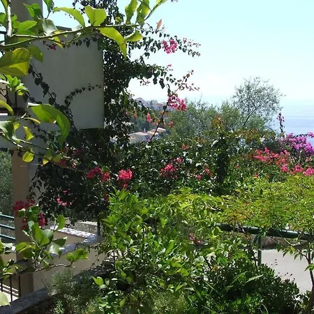Apartment Taja *